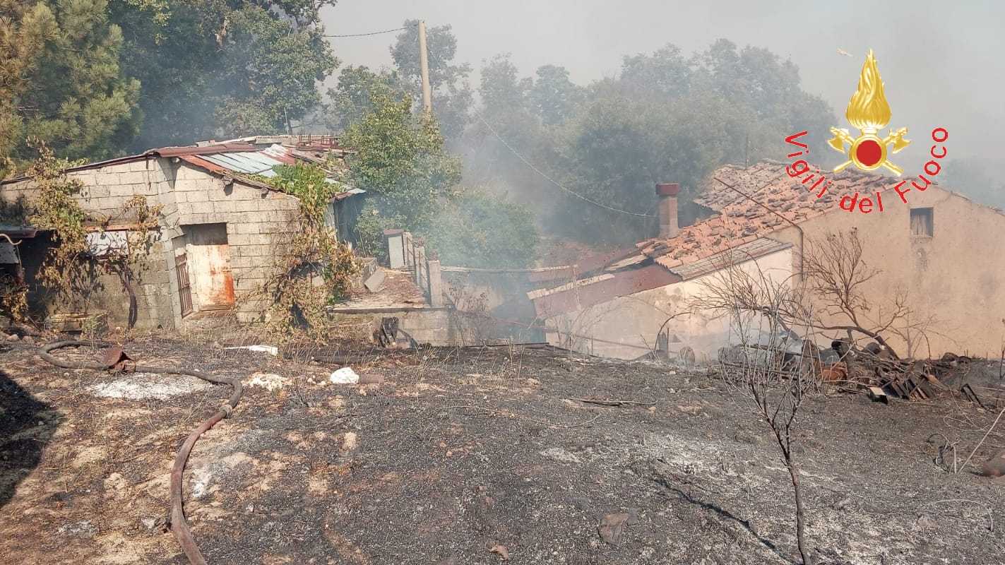 In fiamme le colline di Gimigliano, danneggiate abitazione, sul posto i VVF. Video
