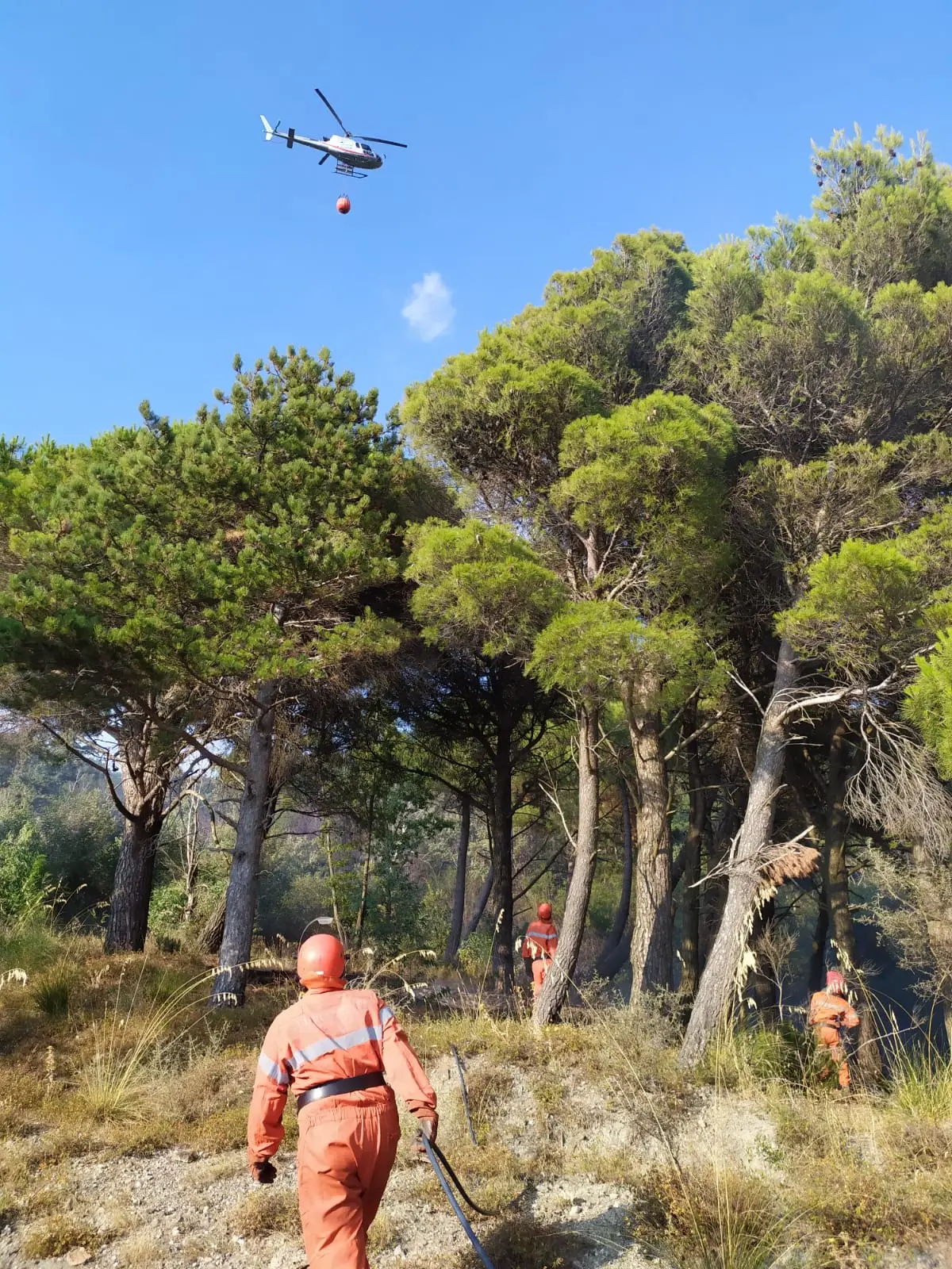 In fiamme le colline di Gimigliano, danneggiate abitazione, sul posto i VVF. Video