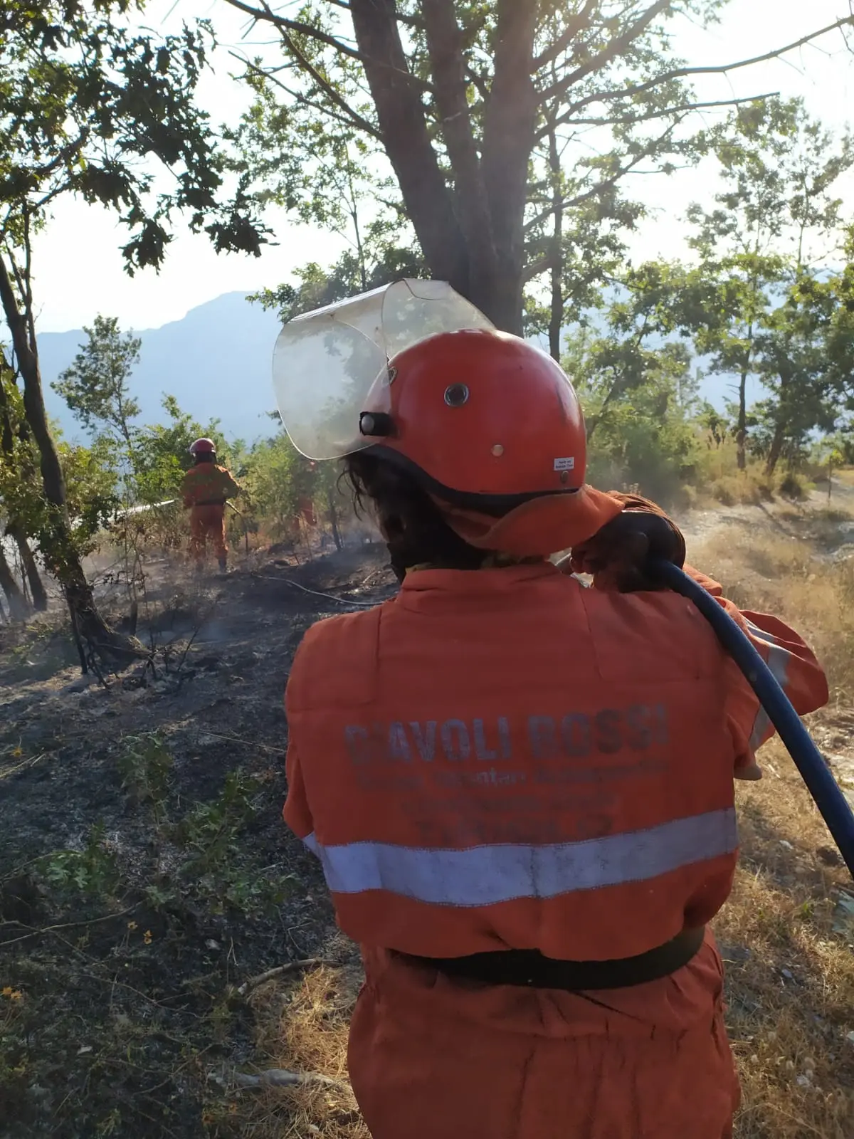 In fiamme le colline di Gimigliano, danneggiate abitazione, sul posto i VVF. Video