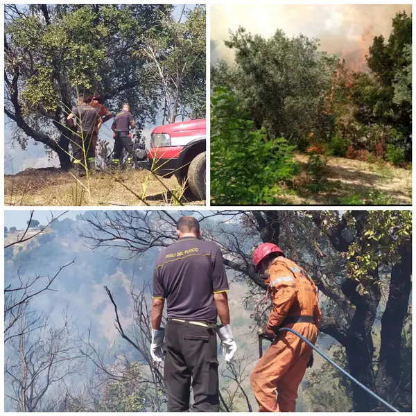 Tiriolo (CZ). VVF: i volontari Diavoli Rossi domano vasto incendio nel catanzarese