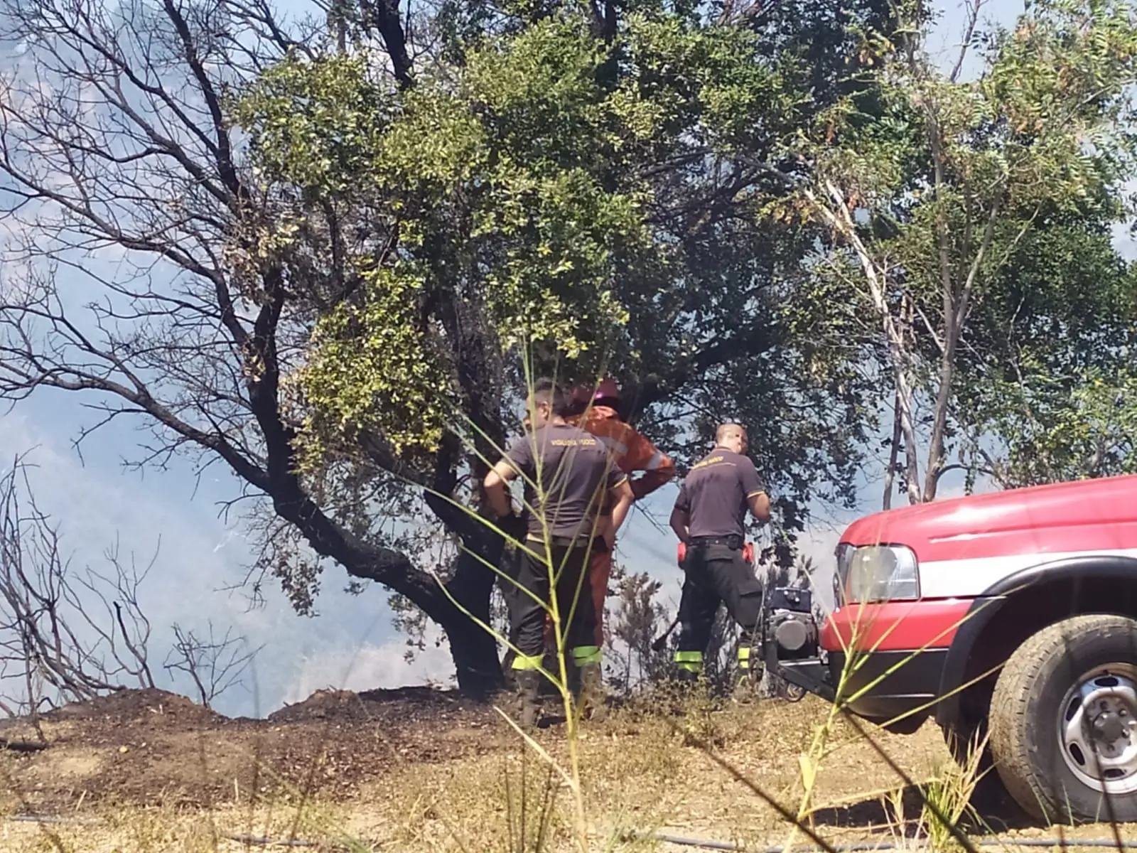 Tiriolo (CZ). VVF: i volontari Diavoli Rossi domano vasto incendio nel catanzarese