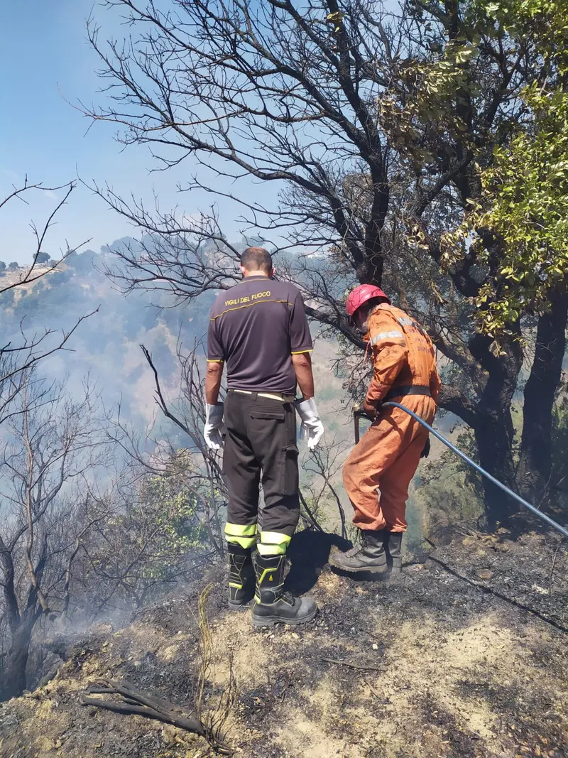 Tiriolo (CZ). VVF: i volontari Diavoli Rossi domano vasto incendio nel catanzarese