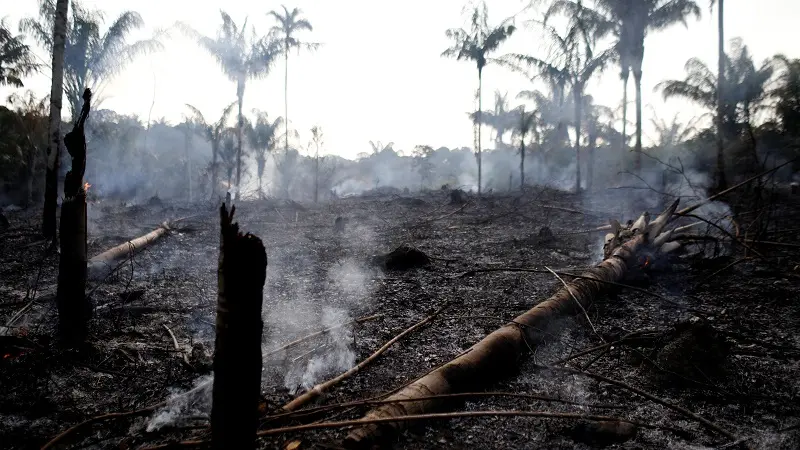 Incendi in Amazzonia: Macron e Merkel ne discuteranno al G7 ma Bolsonaro non ci sta