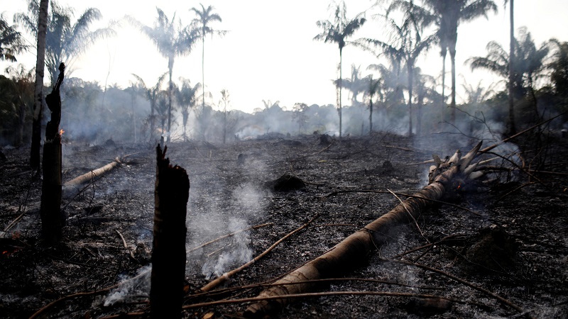 Incendi in Amazzonia: Macron e Merkel ne discuteranno al G7 ma Bolsonaro non ci sta