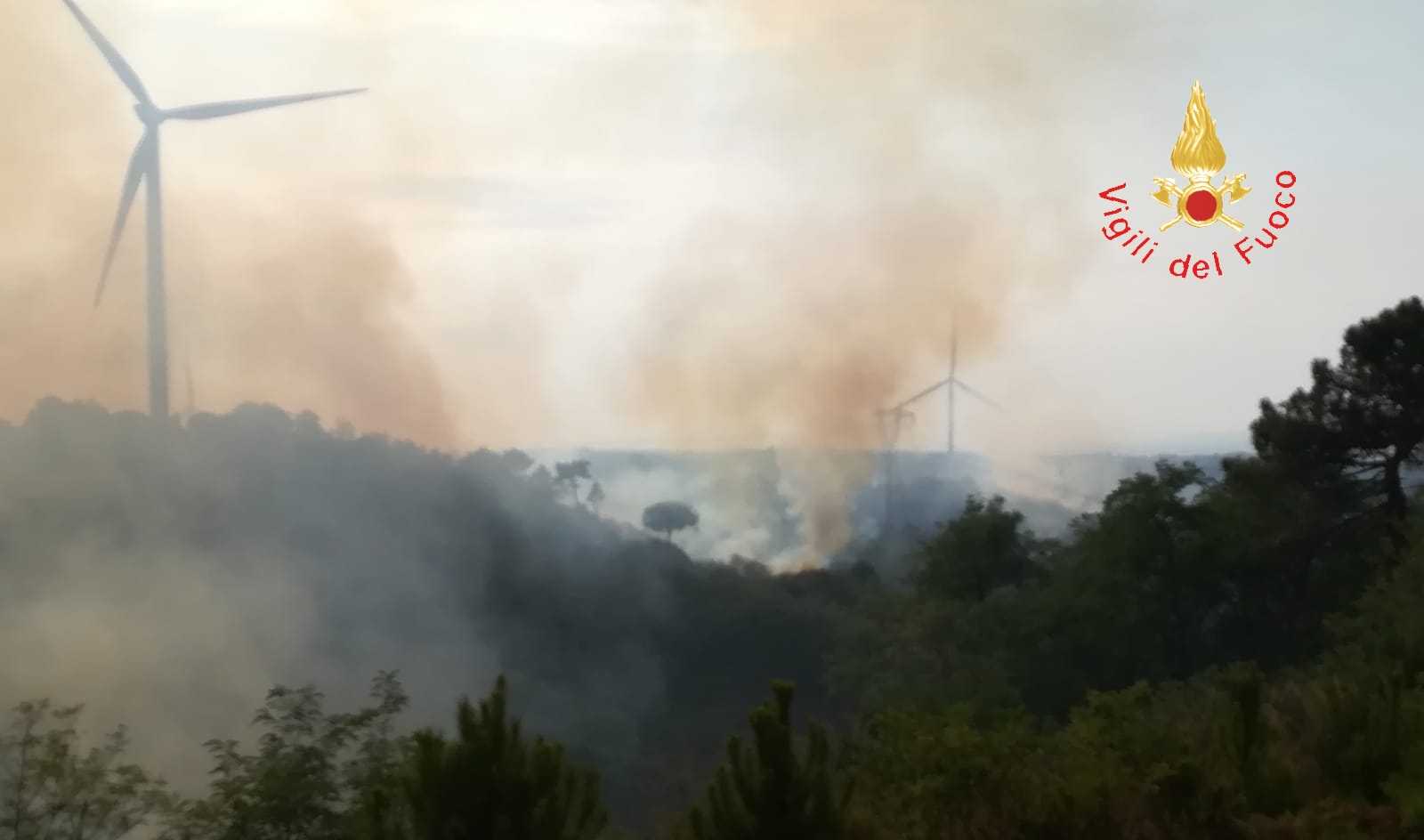 Incendio tra Caraffa e Maida (CZ): a rischio rogo case vicine, tempestivo intervento dei VVF (Video)