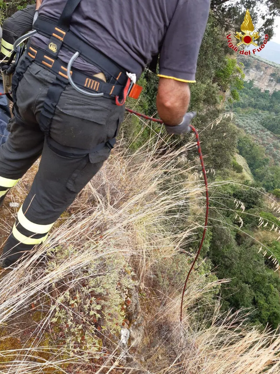 Mesoraca (KR) Due cadaveri in fondo a burrone, probabilmente di Rosario e Salvatore Manfreda