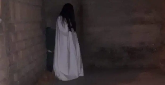 Lamezia Terme (CZ), cercano "Samara" e fanno irruzione in palazzo con bastoni, sul posto Cc e Ps