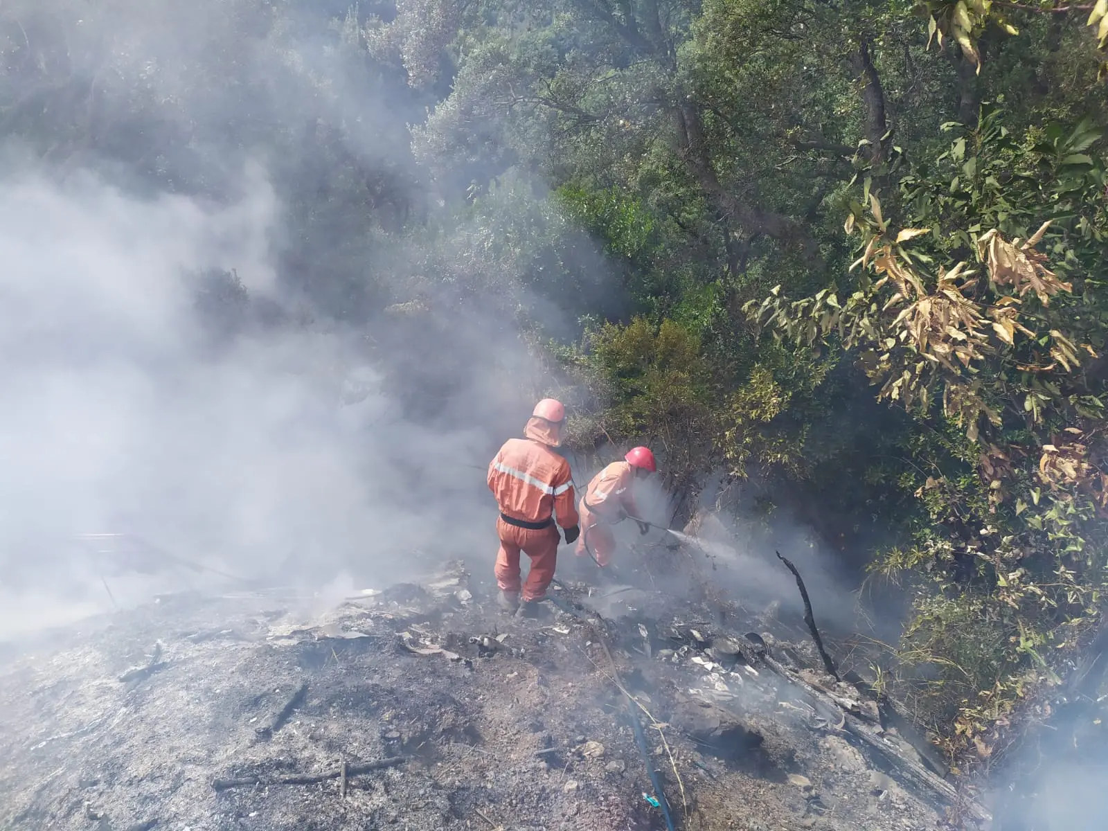 Tiriolo (CZ). Incendi: I Diavoli Rossi: evitano roghi a centri abitati