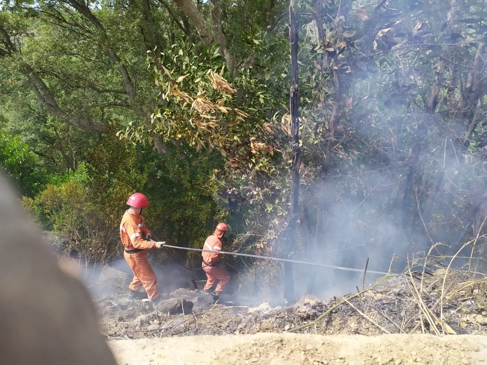 Tiriolo (CZ). Incendi: I Diavoli Rossi: evitano roghi a centri abitati