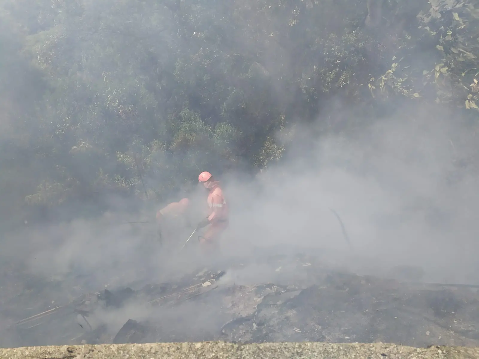 Tiriolo (CZ). Incendi: I Diavoli Rossi: evitano roghi a centri abitati