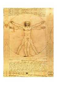 L'Uomo Vitruviano di Leonardo sarà l'ospite d'eccezione al Louvre