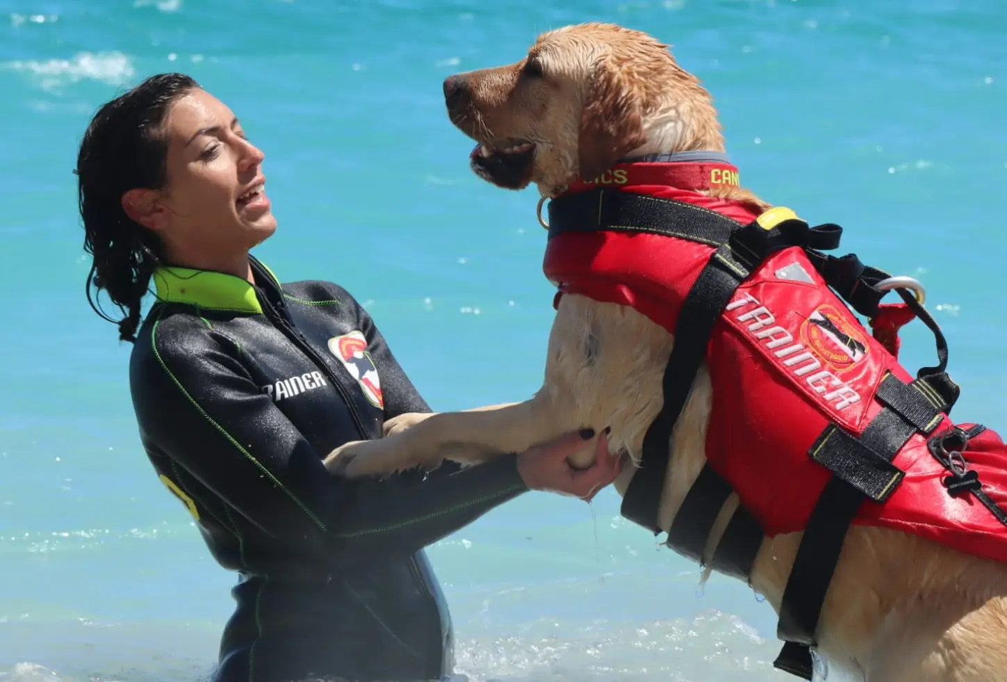 Cani di salvataggio, si torna a scuola. Aprono due nuove sedi Sics in Puglia e nelle Marche