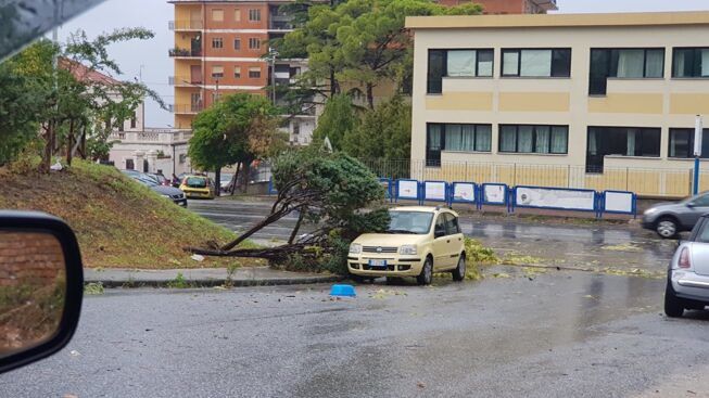 Paola Liotta scomparsa a Pizzo, Prefettura Vibo attiva piano ricerca
