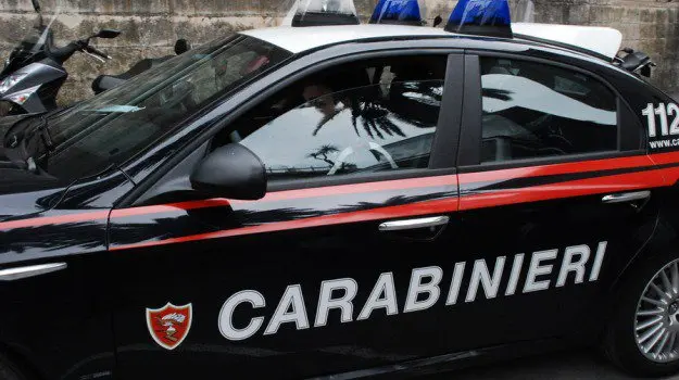 Droga: scoperta da Cc piantagione di marijuana nella Locride