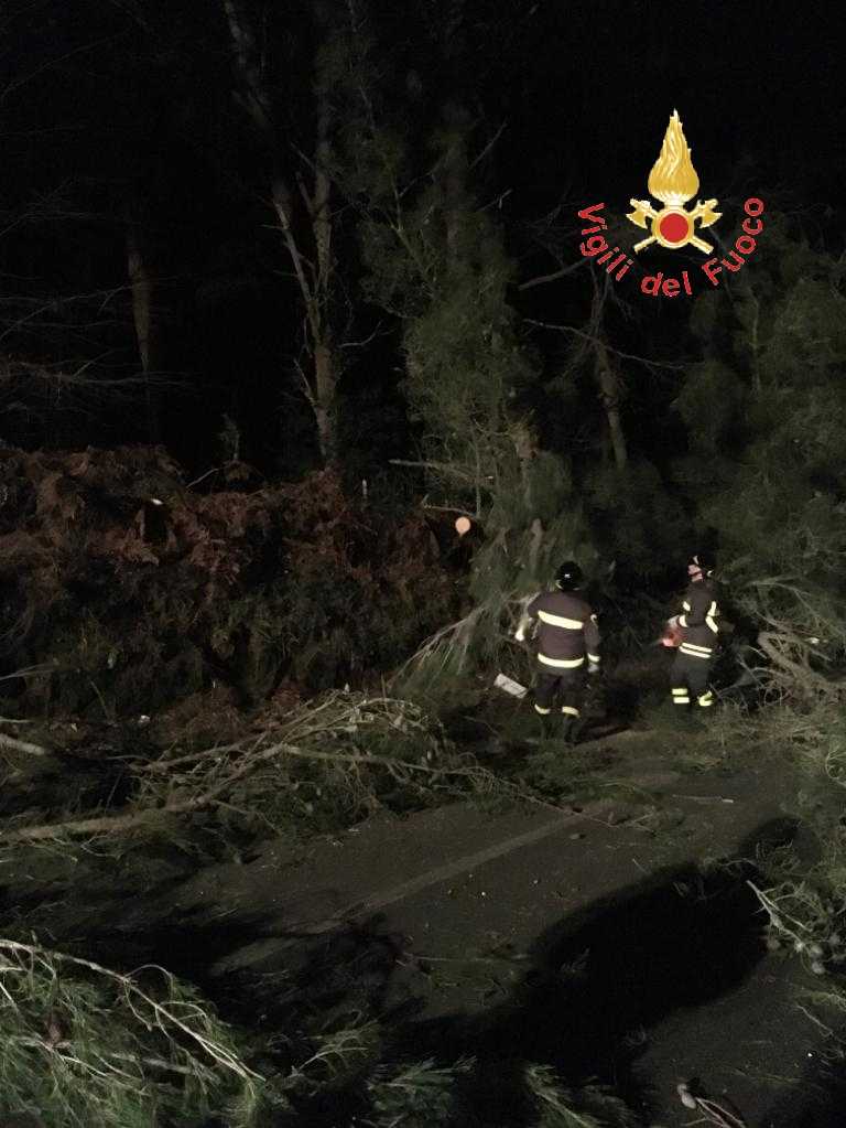 Maltempo: temporali e vento su Calabria,danni ma no criticità