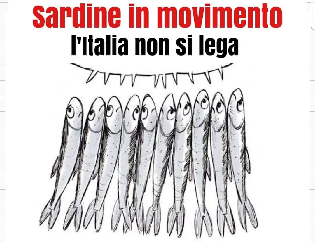 Sardine: torna visibile nella notte la pagina Fb oscurata