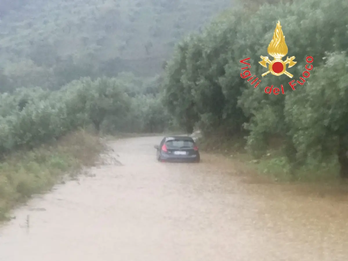 Intenso e pericoloso il lavoro dei VVF da Lamezia Terme, Falerna, Gizzeria e Nocera Terinese (Foto)