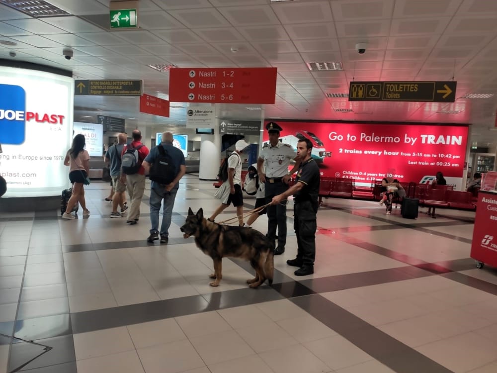 Palermo: Controlli antidroga in areoporto, un arresto