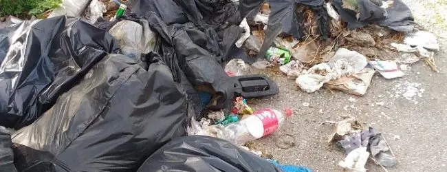 Rifiuti: Pullano "puntare su differenziata resta scelta giusta"