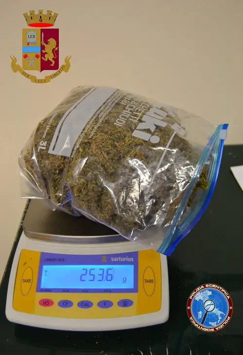 La Polizia arrestato un 60enne per detenzione ai fini di spaccio di marijuana