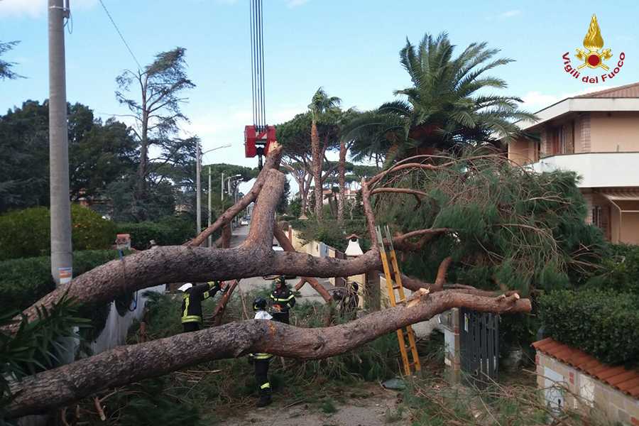 Maltempo: alberi crollati per raffiche a 100km/h a Cosenza