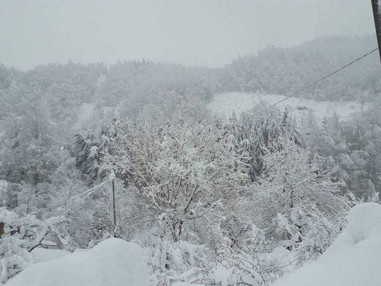 Maltempo: neve nel Cosentino e nel Catanzarese anche a quote basse
