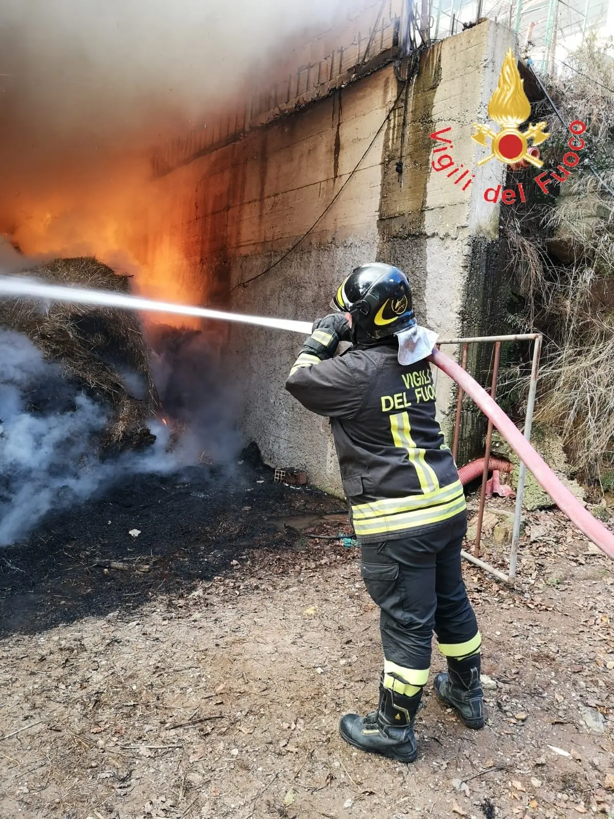 I VVF sempre attivi, estinguono incendio in una stalla a Borgia (CZ)