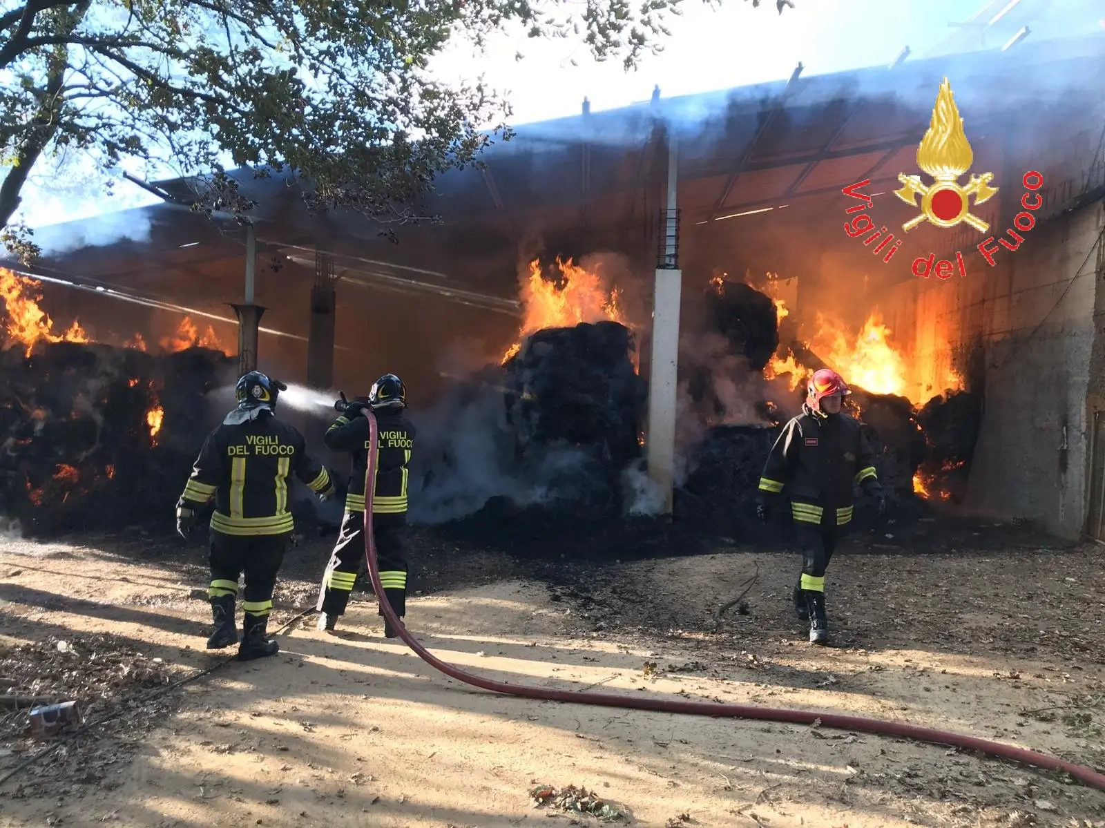 I VVF sempre attivi, estinguono incendio in una stalla a Borgia (CZ)