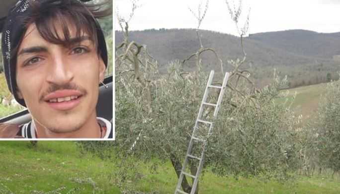 Giovane 20enne cade e muore durante la potatura di un albero a Custonaci (TP)