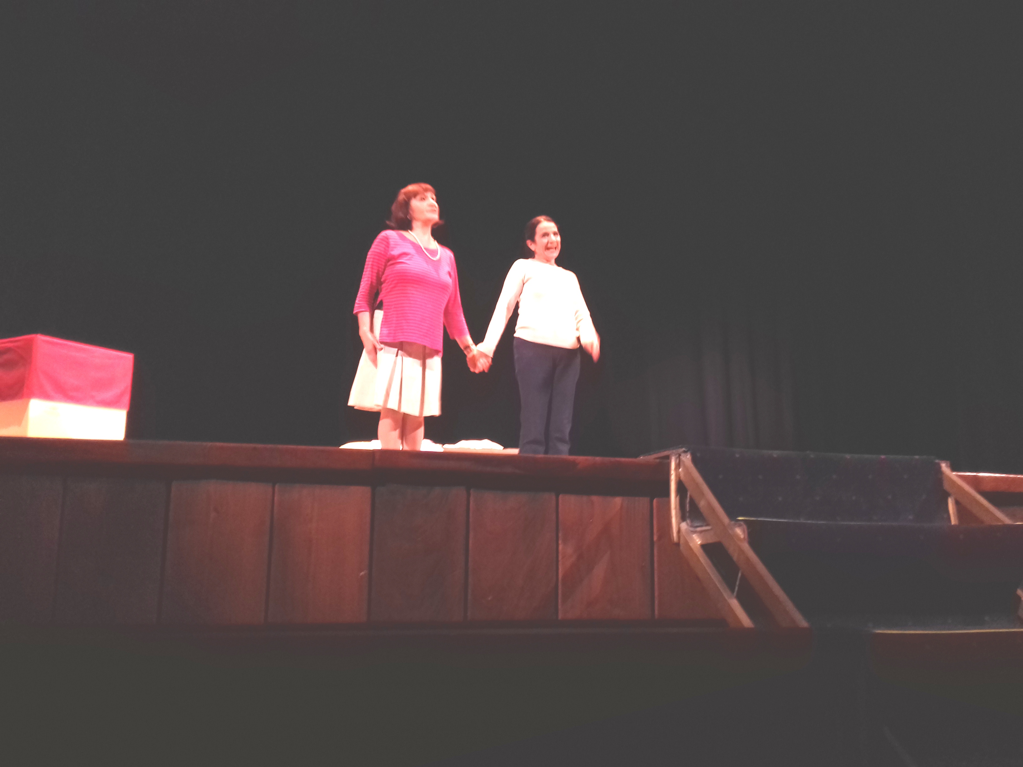 Una storia tutta al femminile in scena al Grandinetti di Lamezia