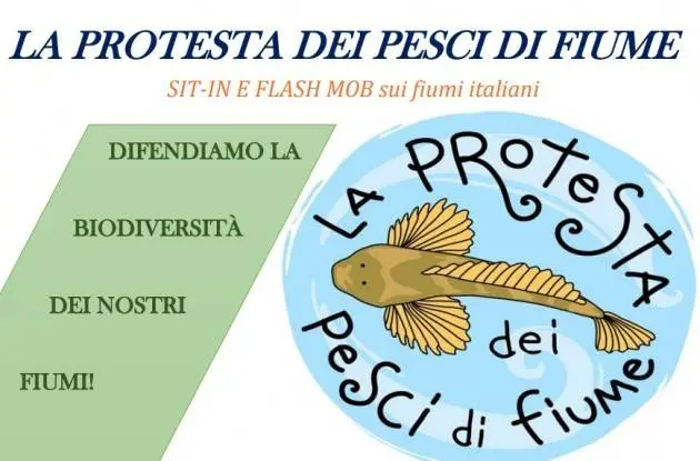 Oggi sit-in e flash-mob per la 'protesta dei pesci di fiume'