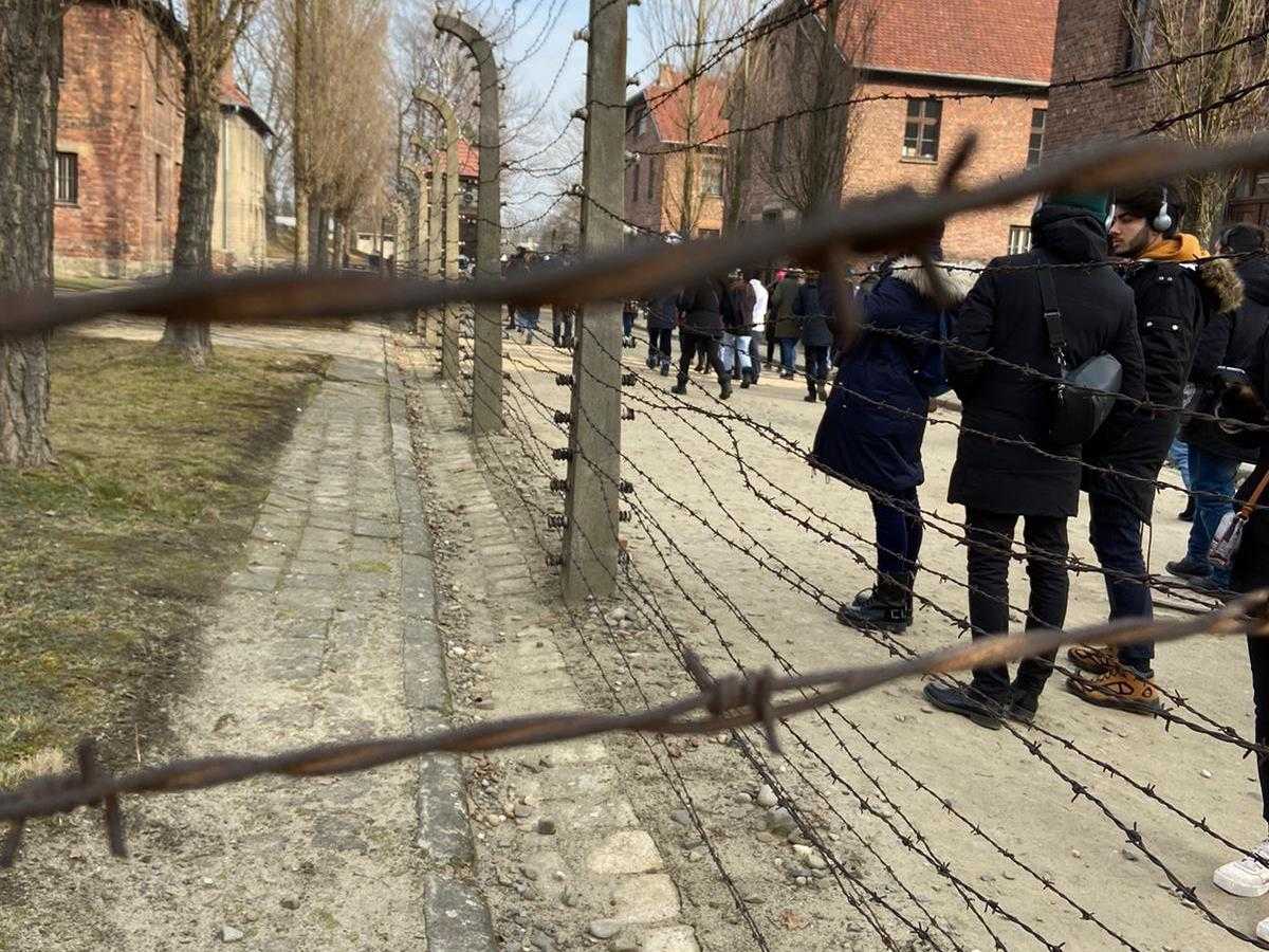 Liceo Scientifico “L. Siciliani” Ad Auschwitz, per non dimenticare