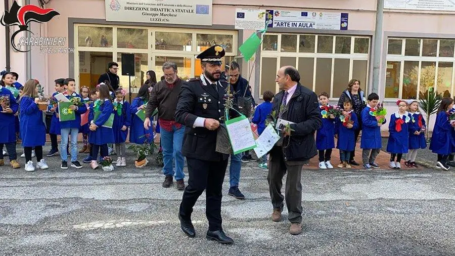 Parco della Sila: Bilancio dei Cc su attività a tutela dell’area protetta