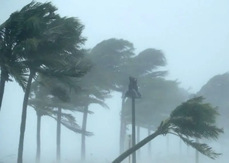 Meteo. Tempesta Ciara, danni in Piemonte. Allerta per mareggiate nel centro-sud parchi chiusi