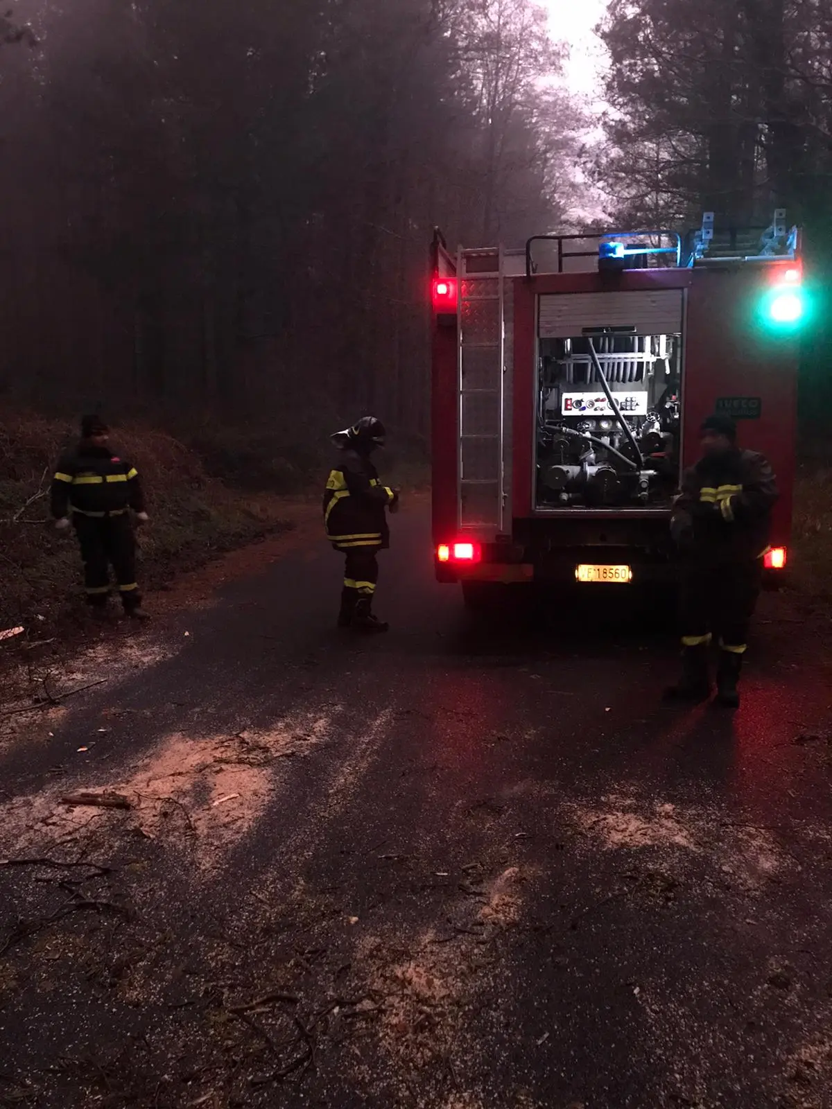 La Tempesta Ciara colpisce il Catanzarese, molti alberi divelti intervento, dei VVF. Video