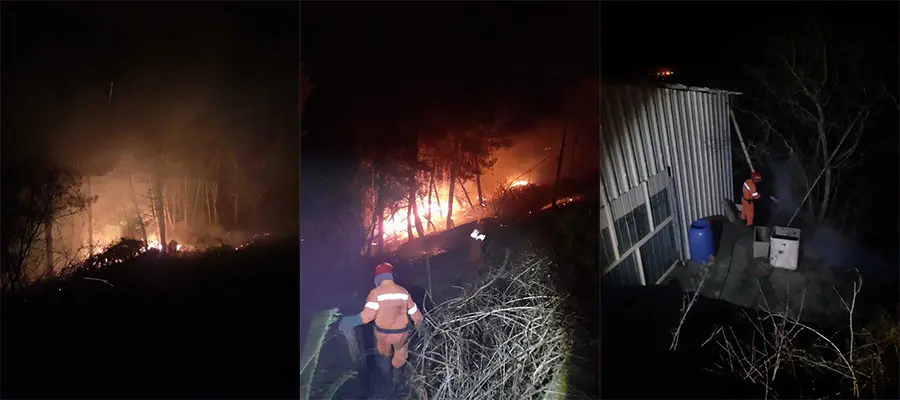 Il bosco di Tiriolo sotto assedio dalle fiamme, arrivano i Volontari Diavoli Rossi e lo domano