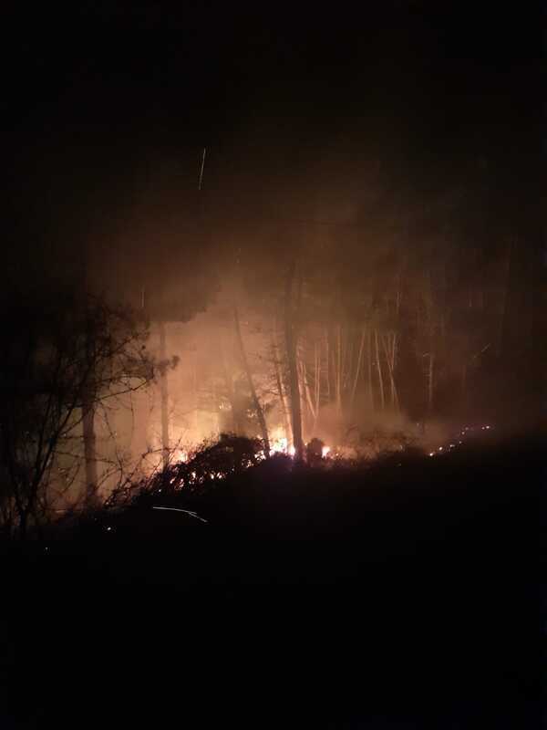 Il bosco di Tiriolo sotto assedio dalle fiamme, arrivano i Volontari Diavoli Rossi e lo domano