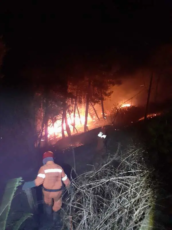 Il bosco di Tiriolo sotto assedio dalle fiamme, arrivano i Volontari Diavoli Rossi e lo domano