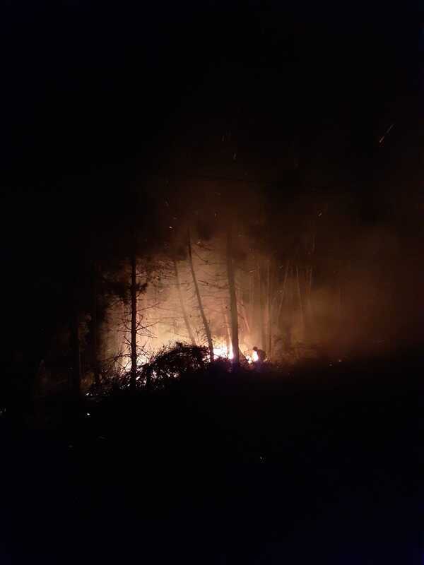 Il bosco di Tiriolo sotto assedio dalle fiamme, arrivano i Volontari Diavoli Rossi e lo domano