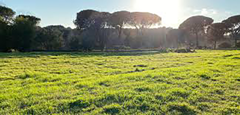 Coronavirus: Coldiretti, fuga braccianti stranieri da Italia