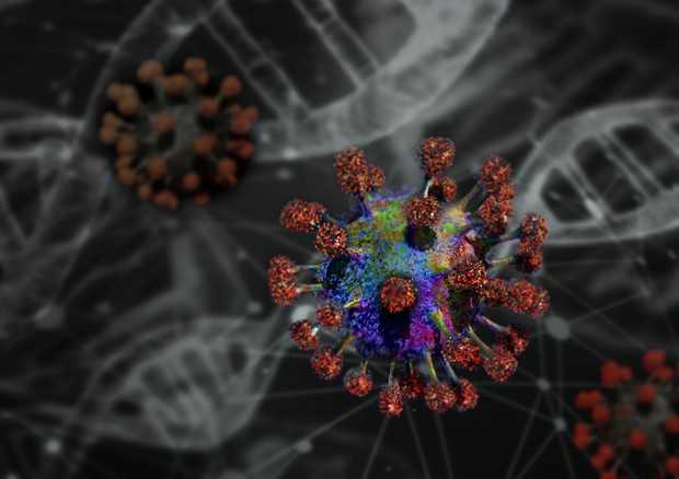Coronavirus: ricostruita la mutazione che lo ha reso umano