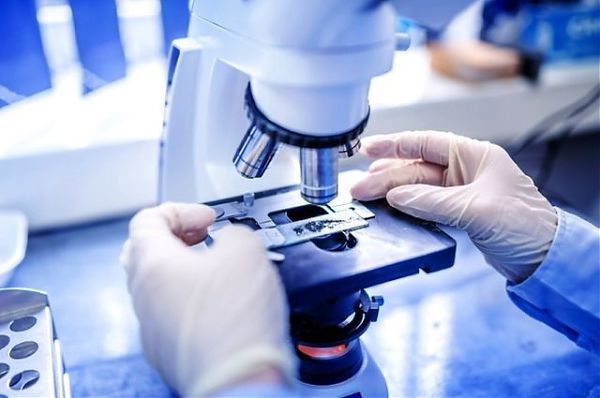 Coronavirus, pronto progetto di un secondo vaccino italiano