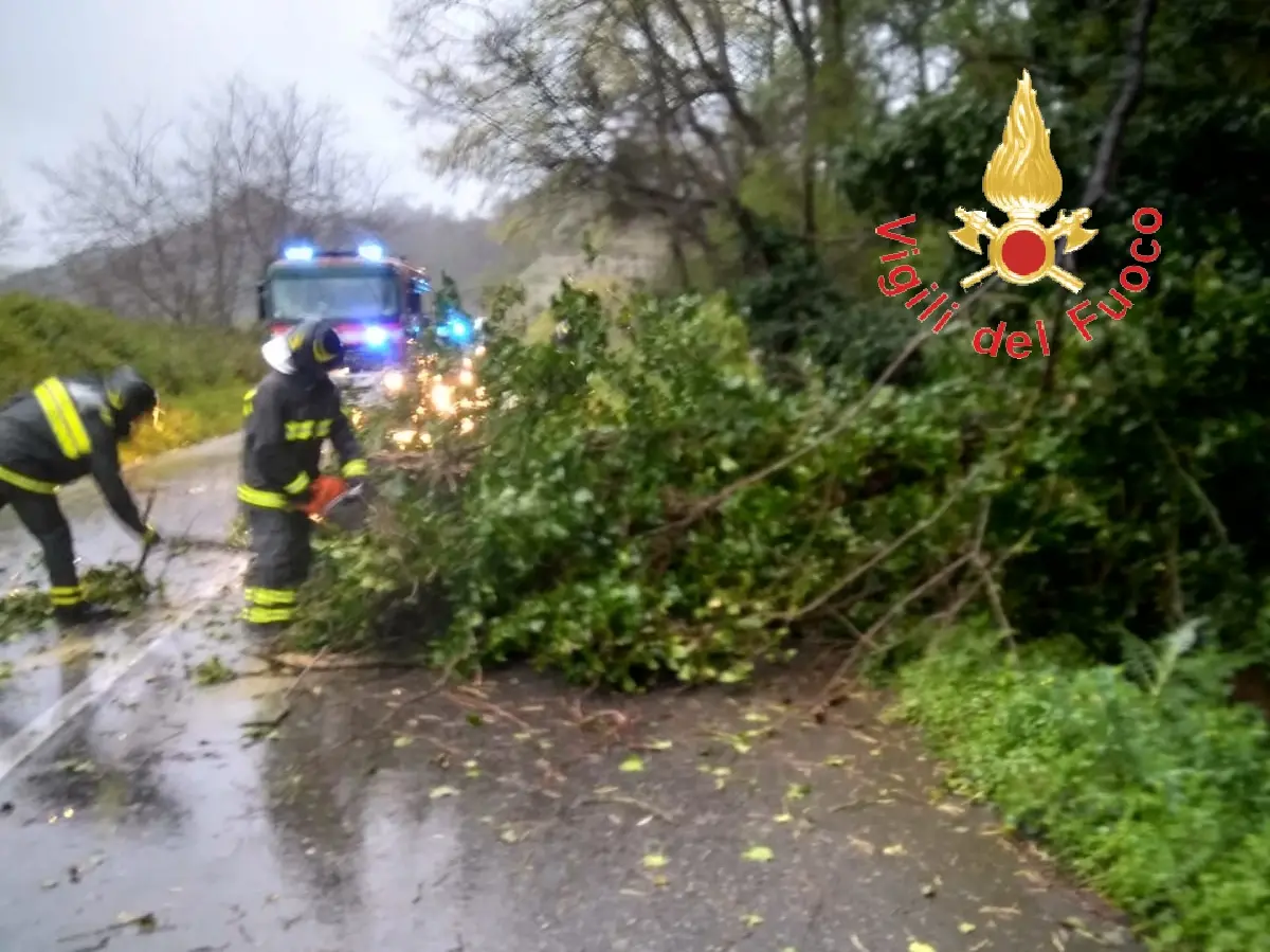 Maltempo Catanzaro. Numerosi Interventi dei VVF. Ecco il bilancio. Foto