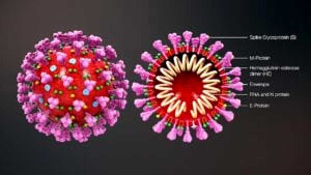 Coronavirus: supercomputer Enea per studio farmaci e vaccini