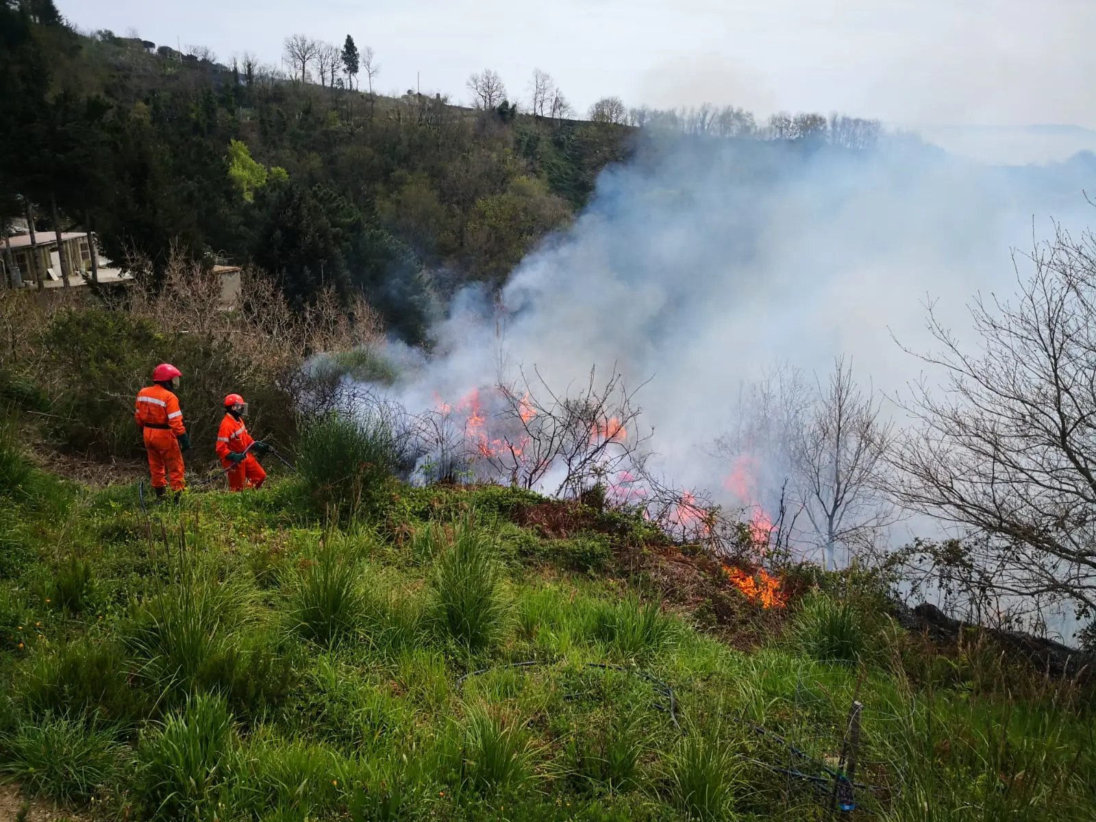 Da giorni le fiamme mettono sotto stress il comune Tiriolo. Interventi continui dei Diavoli Rossi