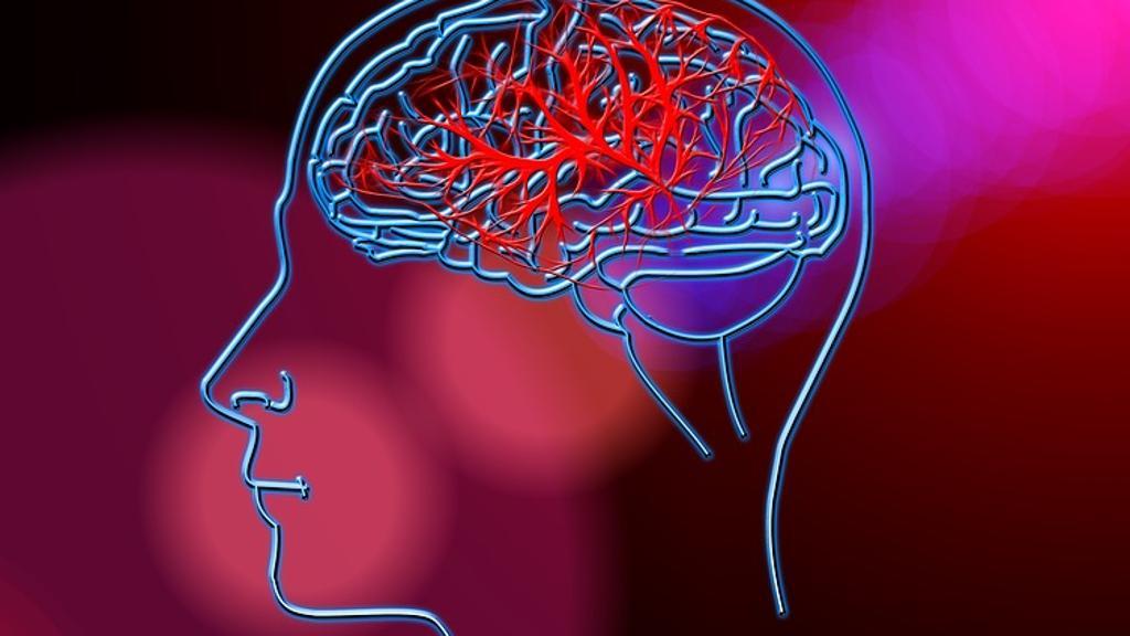 Coronavirus: Iss, stili vita, geni e ormoni proteggono donne