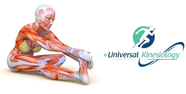 Stretching: perché è importante eseguirlo?