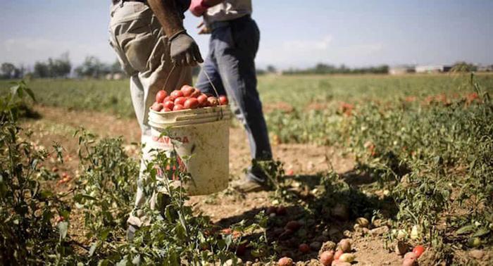 Regolarizzazioni, testo chiuso tranne durata permessi