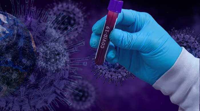 Coronavirus: trovati anticorpi sintetici per bloccarlo