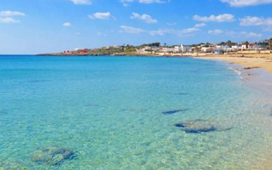 Nantes: Virologo Soizick, Il Coronavirus non ama il mare, nessuna traccia